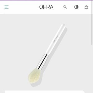 Ofra pro 22 highlighter/ blush brush